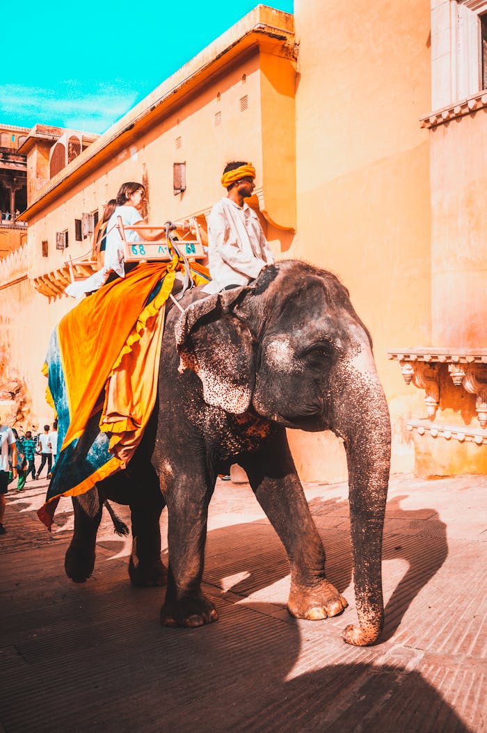 Tourists enjoying an elephant ride at the iconic Amber Fort in Jaipur, India.